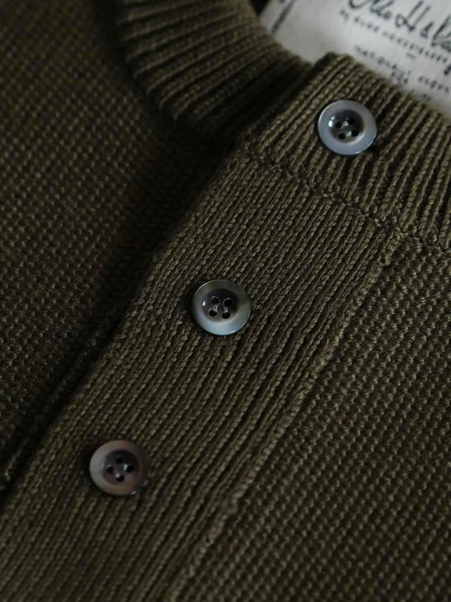Olde H & Daughter | WOOL HENLY NECK P/O LIZARD