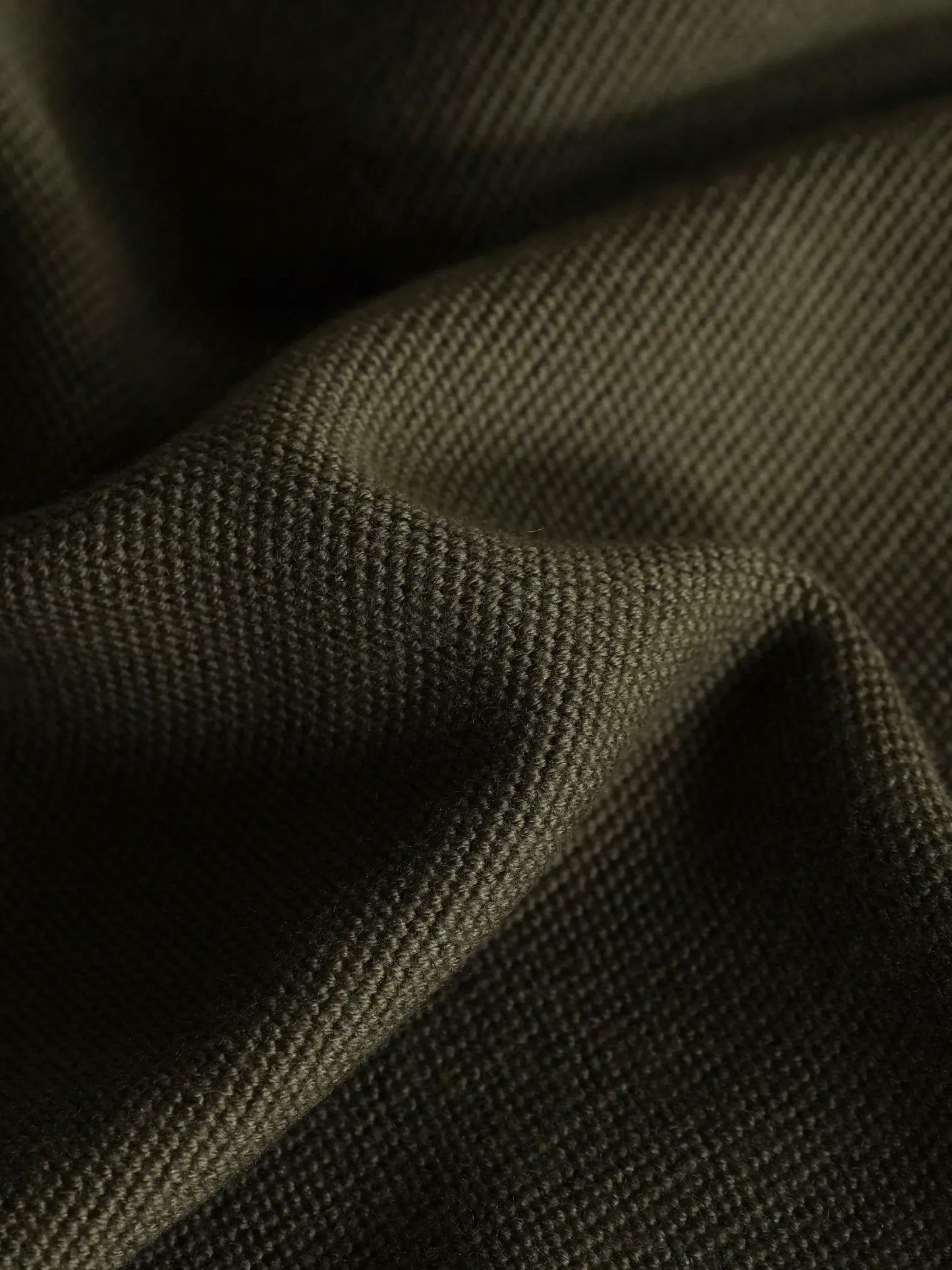Olde H & Daughter | WOOL HENLY NECK P/O LIZARD