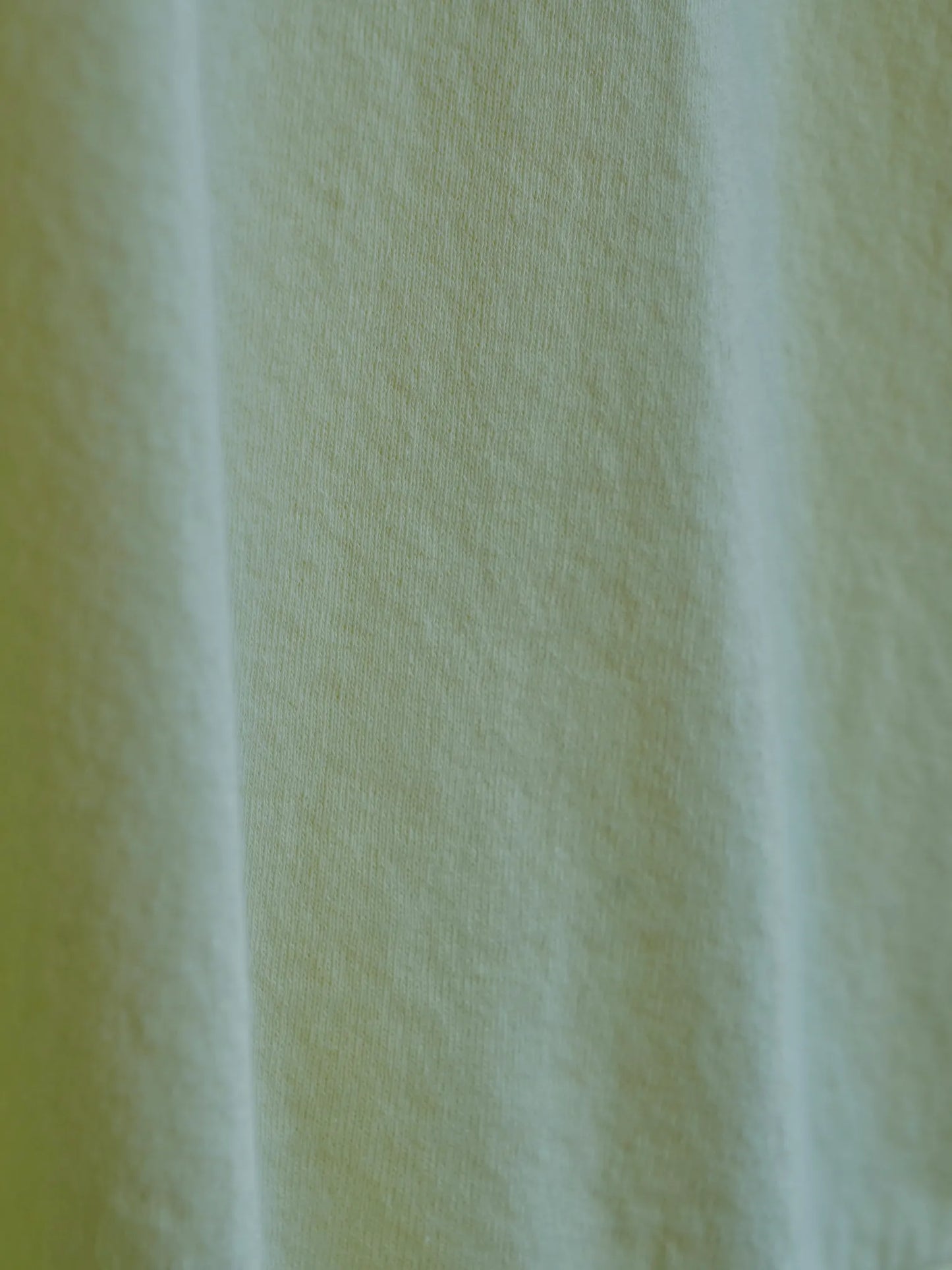 WONDER ROOM ESSE| The Edge LIME